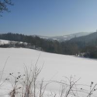 Schneemann (Šumava)