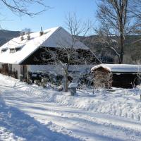 Schneemann (Šumava)