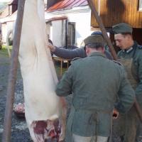 Schweinfest (Šumava) Schweinfest (Šumava)