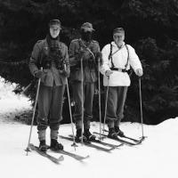 Skischule Skischule