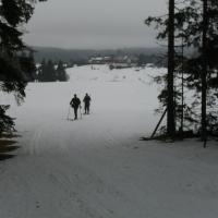 Skischule Skischule