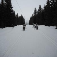Skischule Skischule