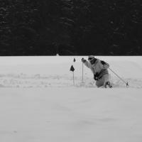 Skischule  Skischule