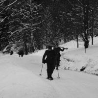Skischule  Skischule