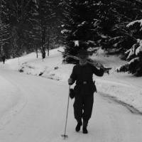 Skischule  Skischule