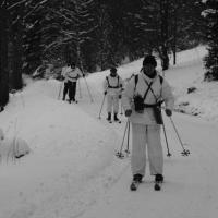 Skischule  Skischule
