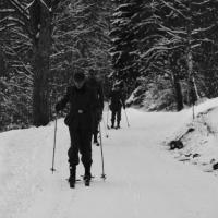 Skischule  Skischule