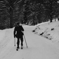 Skischule  Skischule