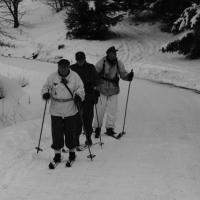 Skischule  Skischule