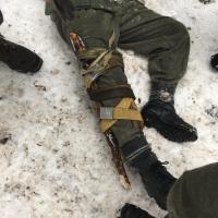 Skischule  Skischule