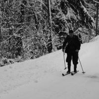 Skischule  Skischule