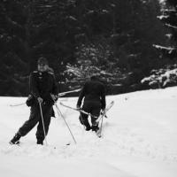 Skischule  Skischule