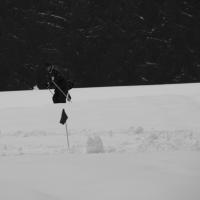 Skischule  Skischule