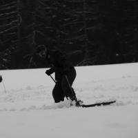 Skischule  Skischule