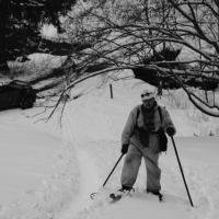Skischule  Skischule