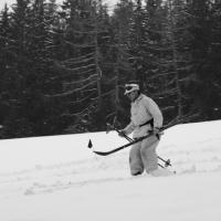 Skischule  Skischule