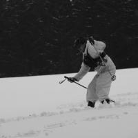 Skischule  Skischule