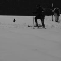 Skischule  Skischule