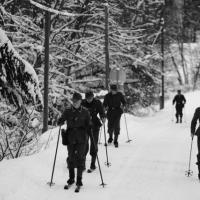 Skischule  Skischule