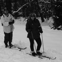 Skischule  Skischule