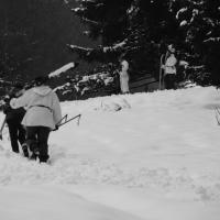 Skischule  Skischule