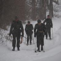 Skischule  Skischule