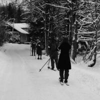 Skischule  Skischule