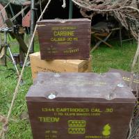 Štěnovický květen 1945