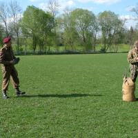 Štěnovický květen 1945