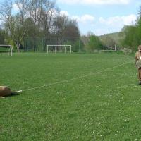 Štěnovický květen 1945