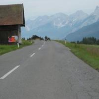 Stubai Stubai