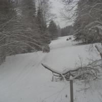 Schneemann (Šumava)