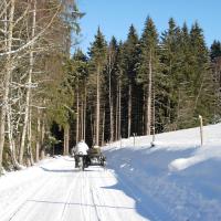 Schneemann (Šumava)