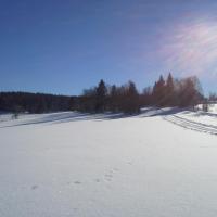 Schneemann (Šumava)