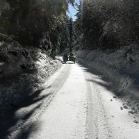 Schneemann (Šumava)