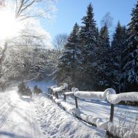 Schneemann (Šumava)