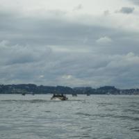 Traunsee  Traunsee