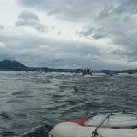 Traunsee  Traunsee