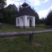 Waldpilzbraten Waldpilzbraten