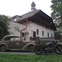 Waldpilzbraten Waldpilzbraten